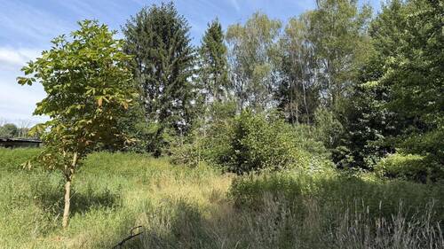 Ansicht - Grundstück in Bienenbüttel