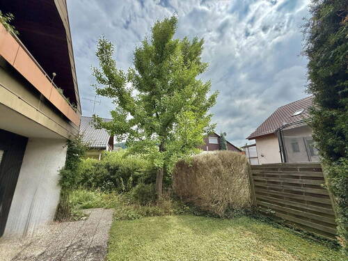 Ginko Baum im Garten - 7 Zimmer Mehrfamilienhaus, Wohnhaus zum Kaufen in Frickenhausen