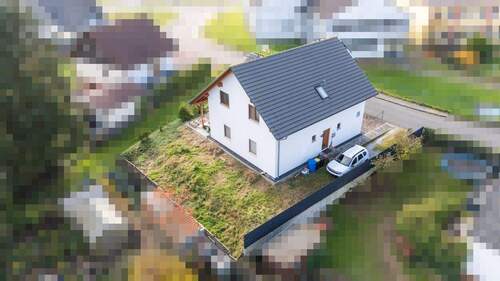 Blick in den Garten - 