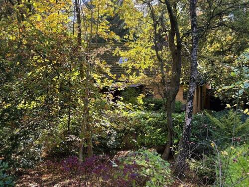 12.JPEG - Einfamilienhaus zum Kaufen in Buchholz in der Nordheide