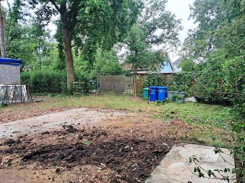 2025-06-04 at 12.47.15.jpeg - 