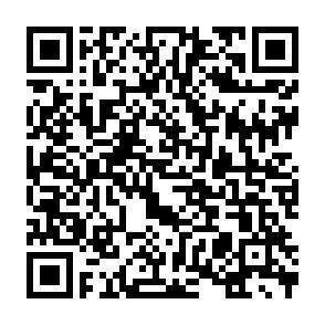QR-Code - 