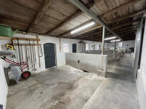 Nutzraum - Stallung 2 - 