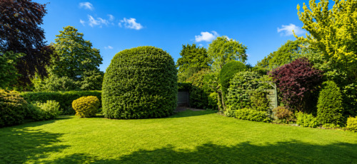 Garten - 