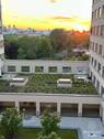 Ausblick - 