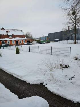 20260130_160150.jpg - 