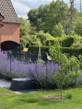Bauerngarten - 