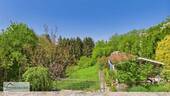 Garten mit Gartenhaus - 