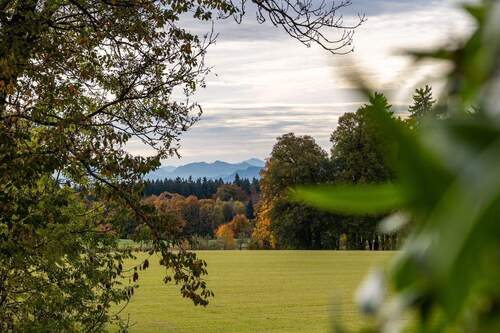 Blick über die Felder - 