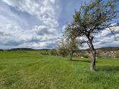 Obstwiese - Obsthof - Obstwiese - Landwirtschaftliche Grundstücke - in Immendingen OT Mauenheim zu verkaufen!