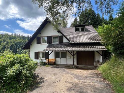 Aussen Ansicht Zufahrt 1.jpg - 6 Zimmer Mehrfamilienhaus, Wohnhaus in Kleines Wiesental