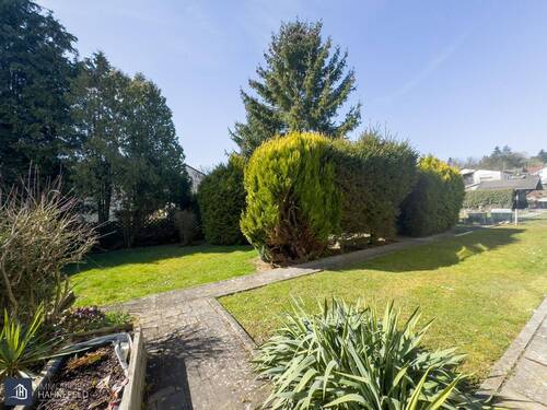 Teilansicht des Gartens - 