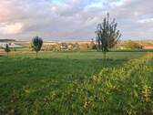 20250916_190352.jpg - 