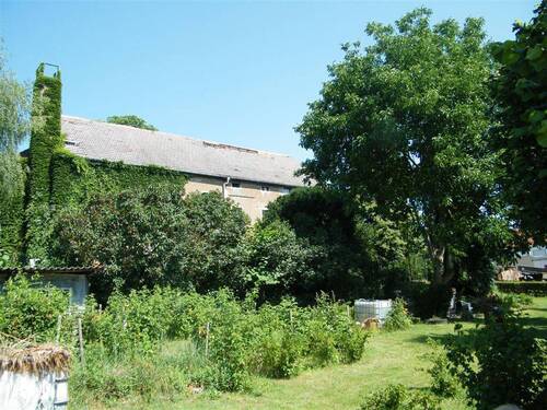 Gartenansicht - Mehrfamilienhaus, Wohnhaus mit 172,00 m² in Ostrau zum Kaufen