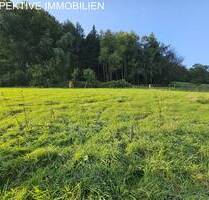 Baugrund in Erbuch - Ihr Traum vom Eigenheim beginnt hier! - Erbach