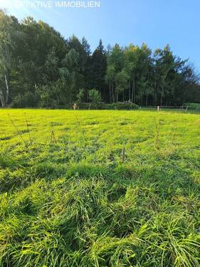 Bild 2 - Grundstück zum Kaufen in Erbach
