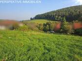 Bild 3 - Grundstück in Erbach