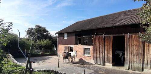 Stall.aussen.2.jpg - 