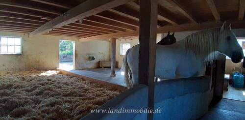 Stall.Innen.jpg - 