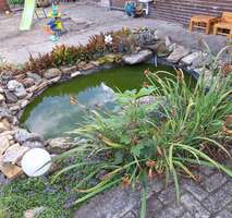 703c7b84-a27a-4987-99a1-8c6119d6ca9b-1943186976.jp - 