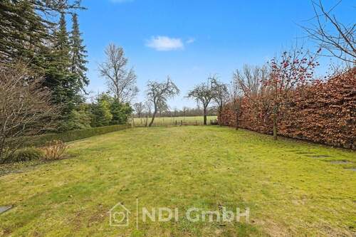 Blick in den Garten - 