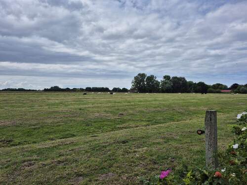 PHOTO-2025-12-06-05-20-32 4.jpeg - 