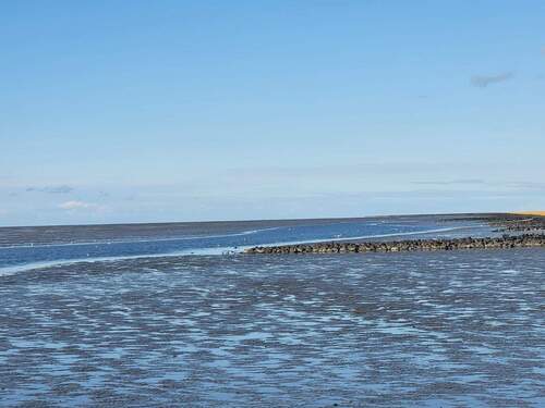 PHOTO-2025-12-06-05-20-28 2.jpeg - 