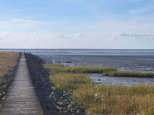 PHOTO-2025-12-06-05-20-29.jpeg - 