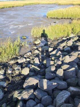 PHOTO-2025-12-06-05-20-28.jpeg - 