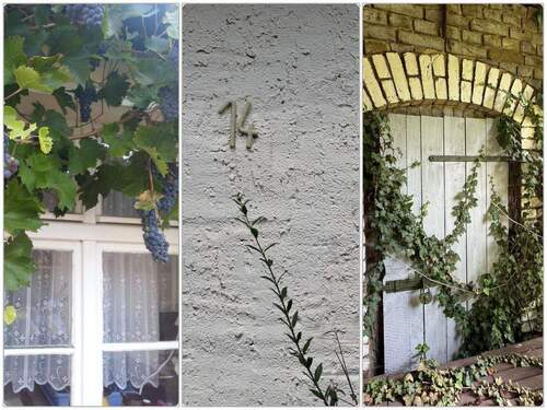 . - 5 Zimmer Bauernhaus, Landhaus zum Kaufen in Lindow (Mark)