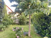 Innenhof mit Garten - 