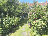 Bild 6 - 