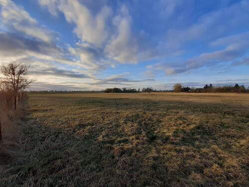 7 Richtung Westen geschaut.jpg - Grundstück in Ducherow