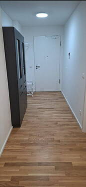 Bild 11 - 