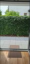 Bild 9 - 