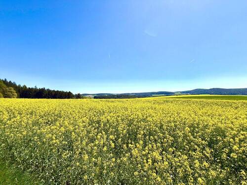 Der Oberpfälzer Wald bei Gleiritsch - Grundstück zum Kaufen in Gleiritsch