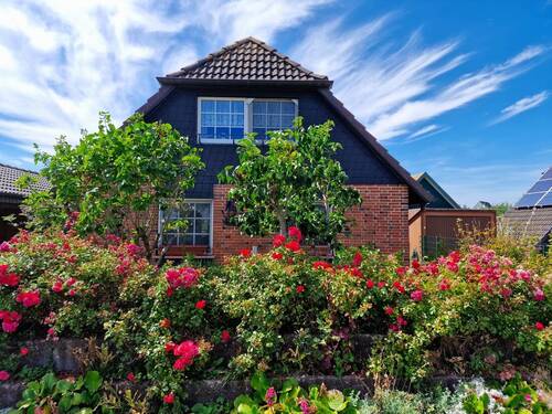 Aussenansicht - 4 Zimmer Einfamilienhaus in Friedrichskoog