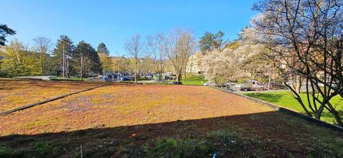 Balkonaussicht.jpg - Gemütliche 3-Zimmer-Wohnung mit Loggia sucht Sie!