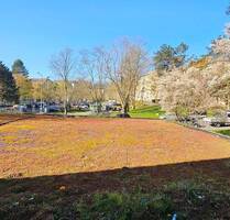 Gemütliche 3-Zimmer-Wohnung mit Loggia sucht Sie! - Wiesbaden Dotzheim