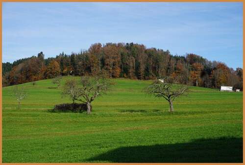 Blick in die Umgebung - 