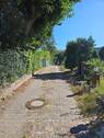 Zufahrt zum Haus - 