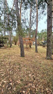 Ansicht - Grundstück in Am Mellensee zum Kaufen