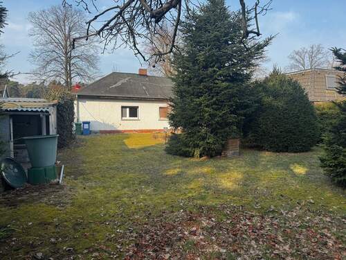Garten - 3 Zimmer Einfamilienhaus zum Kaufen in Blankenfelde-Mahlow