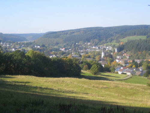 Übersicht_Baugrundstücke - Grundstück zum Kaufen in Hellenthal