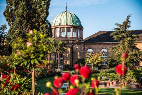 Umgebung botanischer Garten - 