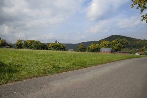 Halbinsel Scheid-6 - 2 Zimmer Bungalow zum Kaufen in Waldeck