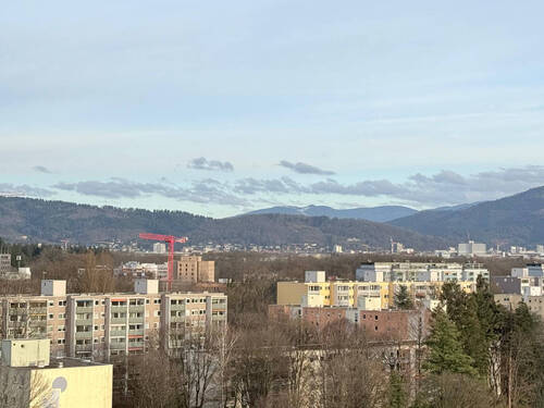 Sonstiges - 