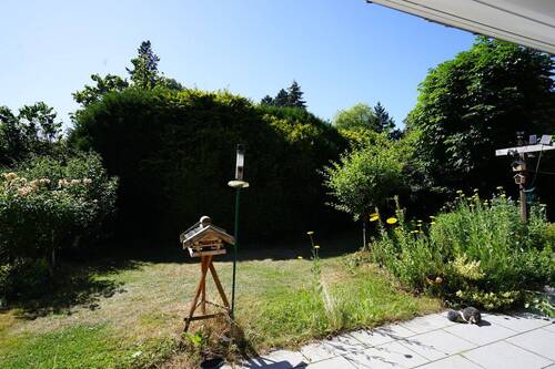 Terrasse - 