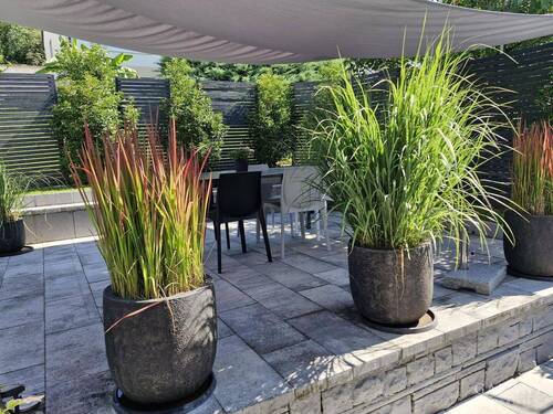 Garten - 