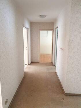 20251121_125123_1.jpg - 